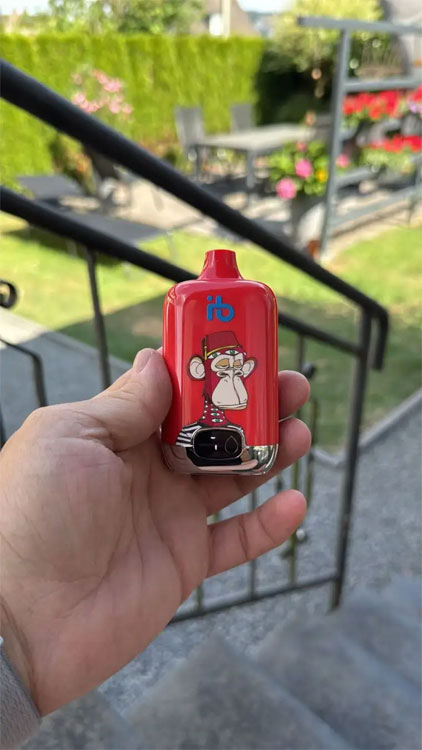 Discover the Best Papieros Elektroniczny and USB Rechargeable Electronic Cigarette Lighter for Ultimate Vaping Convenience