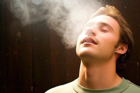 Insider look at trực tiếp đá gà thomo 67 live action and do e cigarettes work evidence for curious audiences