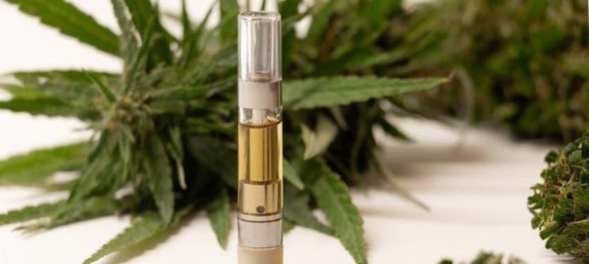 trực tiếp bóng đá Live Streams, Fan Reactions and the Question Is e cigarette worse than regular for Public Health
