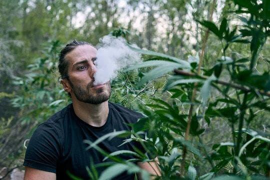 E cigi bolt report reveals negative health effects of electronic cigarettes for users and bystanders